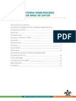 Sistema de Manejadores de Base de Datos