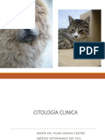 Citología Clínica: Diagnóstico Rápido y de Bajo Riesgo