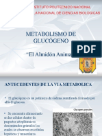 Metabolismo Del Glucógeno - PPSX