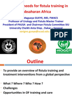 Addressing Needs For Fistula Training in Subsaharan Africa