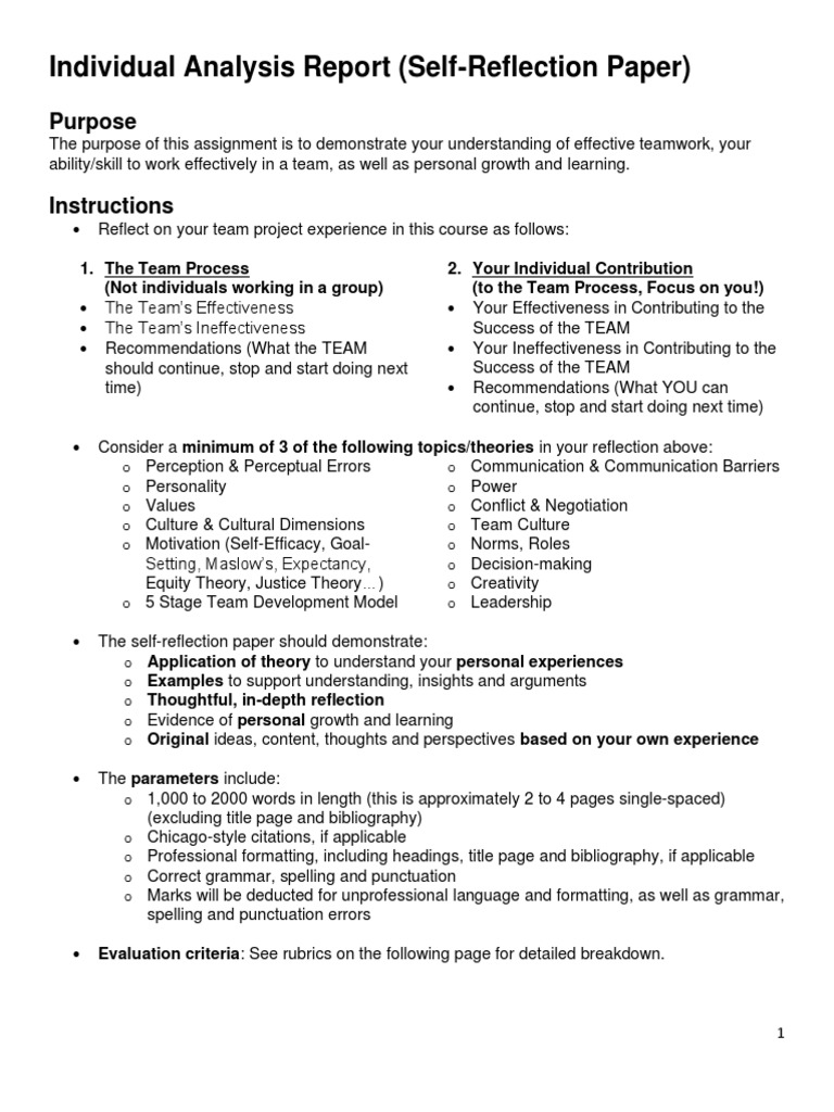 Self Reflection On Team Project | PDF | Concept | Motivation