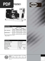 FG22P1 FG25E1 (4pp) (GB)