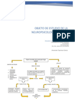 Objeto de Estudio de La Neuropsicologia Infantil