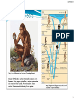 Historia IM I 2014 HomoHabilis-Newton Pag Completa