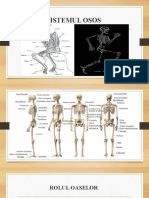 0 Sistemul Osos