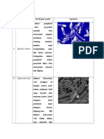 Bakteri PENGHASIL TOKSIN