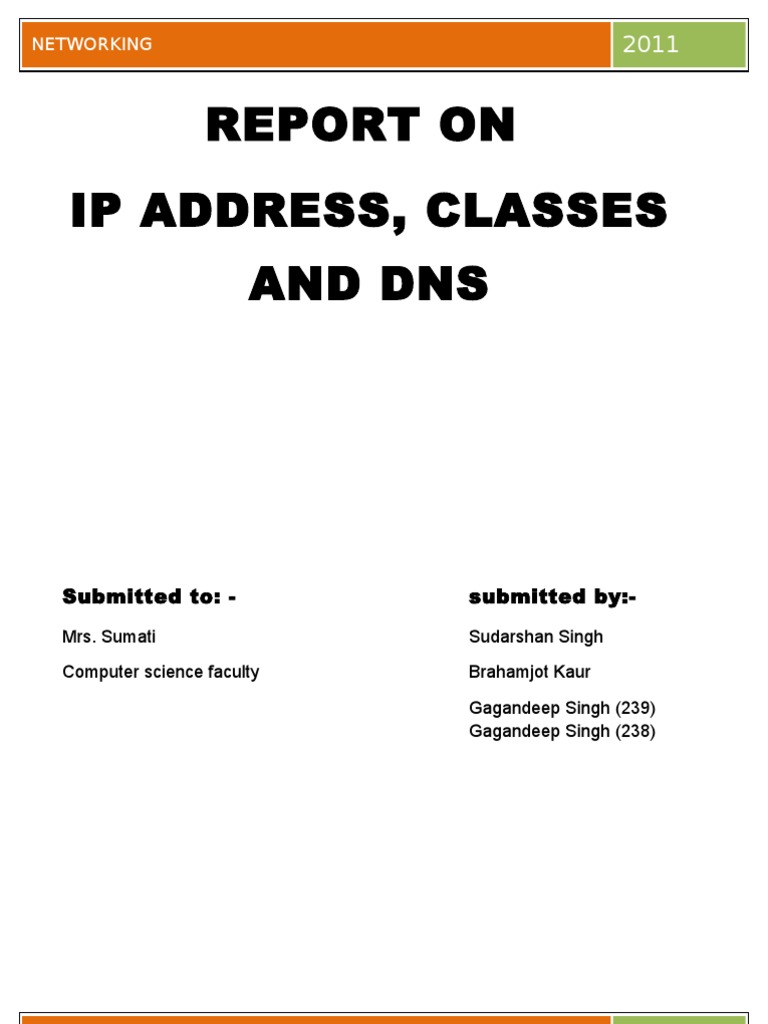 Understanding IP Addresses and DNS | PDF | Ip Address | Domain Name