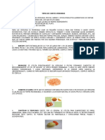 Tipos de Cortes Verduras