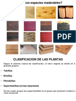 Clasificacion de Las Plantas y La Celula Xilematica