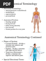 Anatomical Terminology