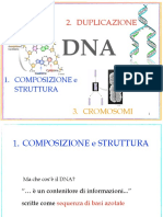 DNA ComposizioneStrutturaDuplicazione