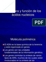 Estructura y Función de Los Ácidos Nucleicos