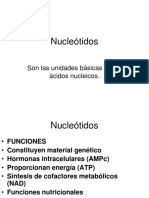 Nucleótidos Act.
