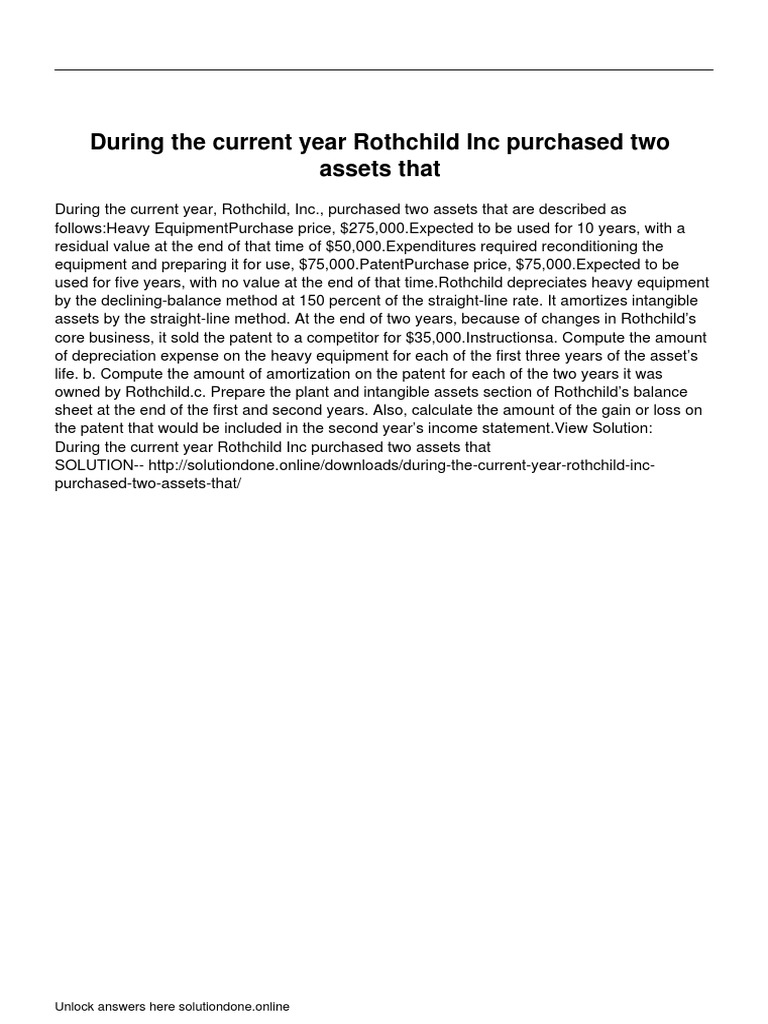 During The Current Year Rothchild Inc Purchased Two Assets That PDF