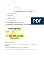 Chapter 13 - Audit Plan and Audit Program