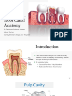 Root Canal Anatomy: Dr. Tasneem Rahman Meem Intern Doctor Mandy Dental College and Hospital
