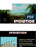 Evolution 1 and 2 for NTSE