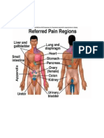 Referred pain,-WPS Office