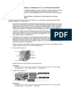 Materi, Tugas Anabolisme Tumb, C4, CAM, Kemosintsis