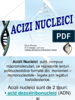9.Acizii Nucleici – Structură Și Rol