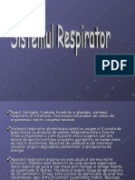 0 Sistemul Respirator