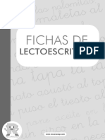 Fichas de Lectura