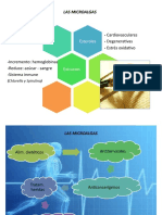 Las Microalgas