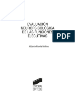 Evaluación de Las Funciones Ejecutivas - Alberto García Molina