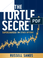 The Turtle Secret