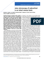 In Vivo Three-Photon Microscopy of Subcortical Structures Within An Intact Mouse Brain