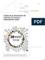 Cómo Es La Asociación de Cultivos (3 Trucos y Entenderéis Todo) - Plantas