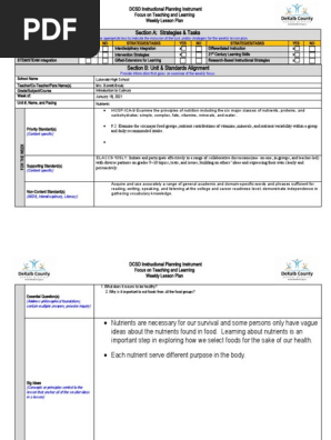 DIFFERENTIATED INSTRUCTION LESSON PLAN