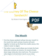 The Journey of The Cheese Sandwich