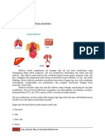 Download SISTEM EKRESI PADA MANUSIA by Muhamad Hariyadi Ariansyah SN49195497 doc pdf