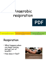 anaerobic-repiration