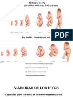 10 Desarrollo Fetal
