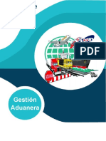 Portafolio Aduanas PDF96