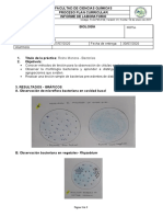 Informe 3