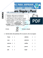 Ficha de Singular y Plural para Primero de Primaria