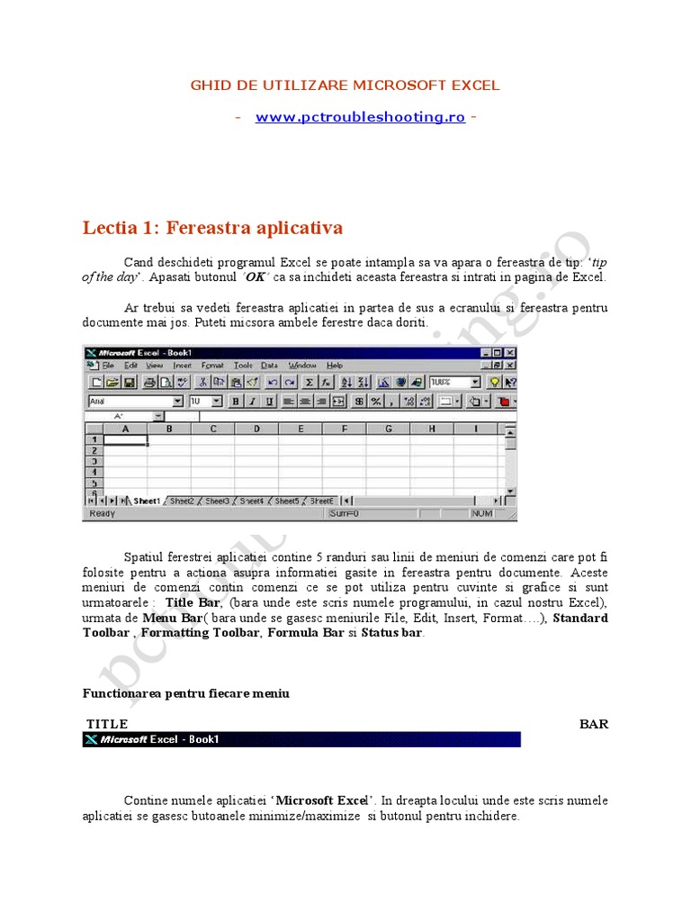 Silicon so much regain Ghid de Utilizare Microsoft Excel | PDF