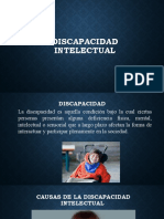 DISCAPACIDAD INTELECTUAL