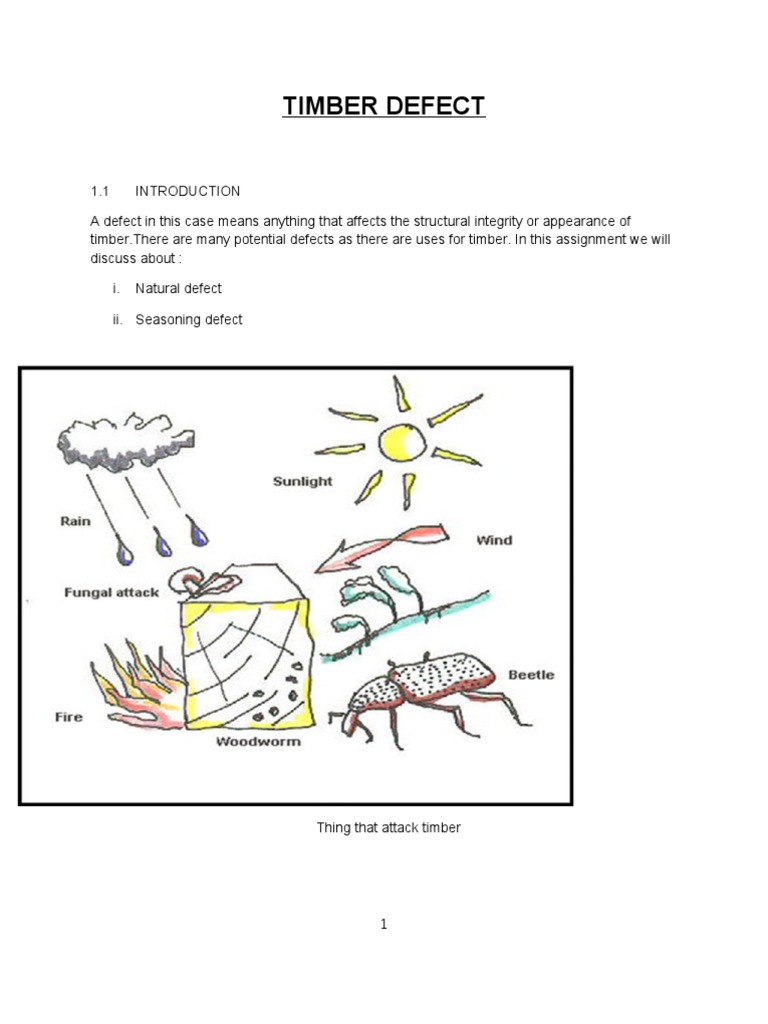 TIMBER DEFECT Siap | PDF | Wood | Lumber