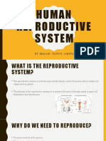 Human Reproductive System: by Malak, Nancy, Amina