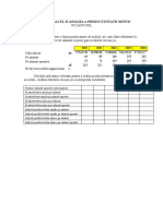 Aplicatie Calcul Si Analiza A Productivitatii Muncii