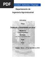 Download PROCESAMIENTO DEL CACAO by Manuel Tovar SN49202399 doc pdf