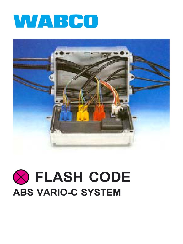 ABS Vario Blink Code PDF