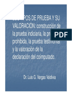 Tipos de Prueba y Su Valoracion-luis Vargas Valdivia