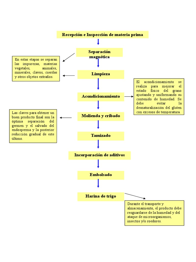 Proceso de Molienda de Harina de Trigo | PDF