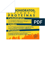 Carbohidrato Lípido Proteína