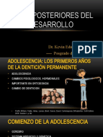 Fases Posteriores Del Desarrollo